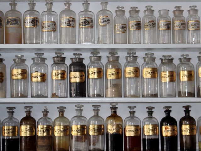 Whey ou protéines végétales pour la récupération